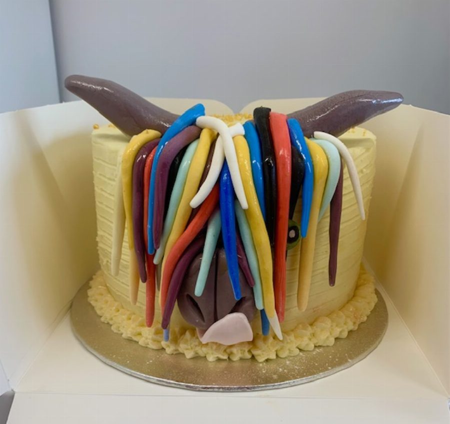 Cake 14